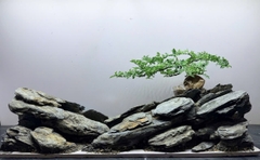 Layout Thung Lũng Đá (CHƯA KÈM BỂ MINI STREAM)