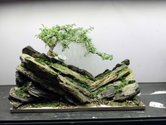 Layout Thung Lũng Đá (CHƯA KÈM BỂ MINI STREAM)