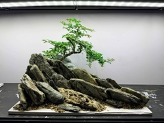 Layout Thung Lũng Đá (CHƯA KÈM BỂ MINI STREAM)