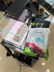 Phân Nền NEO Co2 thế hệ mới 2026