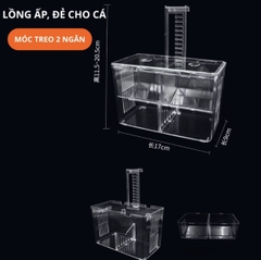 Lồng Đẻ Cho Cá Bằng Mica Trong Suốt, Hộp Ấp Dưỡng Cá Bảy Màu Cá Bệnh Nhiêu Kích Thước XS S M L