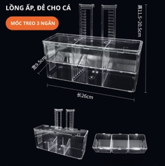 Lồng Đẻ Cho Cá Bằng Mica Trong Suốt, Hộp Ấp Dưỡng Cá Bảy Màu Cá Bệnh Nhiêu Kích Thước XS S M L