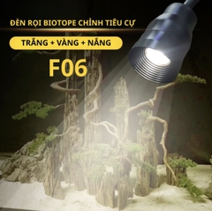 Đèn Rọi DEYAO F09/F07/F06/F01. Đèn 3 Chế Độ Sáng, Chỉnh Tiêu Cự – Đèn Spotlight Bán Cạn, Đèn Biotope