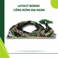 Layout Bonsai Cổng Rừng Đại Ngàn (CHƯA KÈM BỂ MINI STREAM)