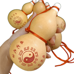 Hồ Lô Bầu Thật Mở Nắp 18-20cm