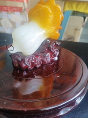 Bắp cải chiêu tài , chiêu lộc(lỗi nhẹ đuôi)-(Thanh Lý)