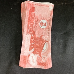 Tiền Giấy Việt Nam