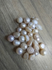 Thành phần Phối Cốt 1gr