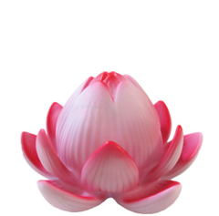 Đèn Hoa sen LED Hồng Sen Pin (12*8cm)