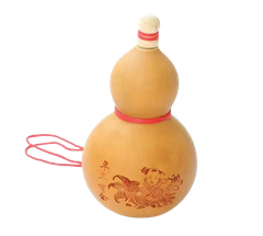 Hồ Lô Bầu Thật Mở Nắp 18-20cm