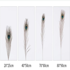 Lông Công Xanh ,hàng thật tự nhiên 100% (từ 25-90cm)trang trí phong thuỷ