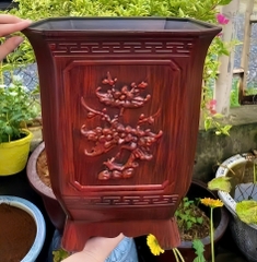Chậu nhựa Vuông TQ 1