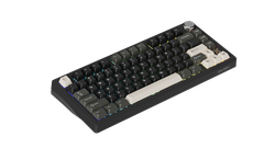 Bàn phím cơ DareU FLEX 75 Black Grey Pegasus switch