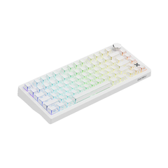 Bàn phím cơ DareU FLEX 75 Shadowfold Pegasus switch