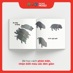 Ti Đâu? Ti Đâu?