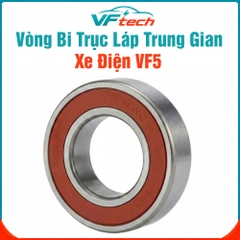 Vòng Bi Trục Láp Trung Gian Xe VF5