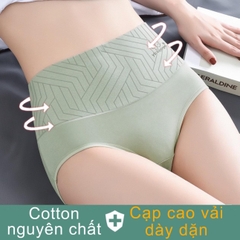 Sét 5 Quần Lót Nữ Cạp Cao Cotton nguyên chất Yisgo mặc hàng ngày ôm V2 thoải mái, Chất vải quần dày dặn, Đũng khàng khuẩn K+ Women