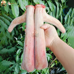 Nhung Hươu Tươi Yên Ngựa Cao Cấp