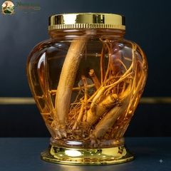 Nhung Hươu Ngâm Rượu