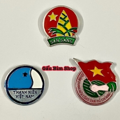 Huy Hiệu Đoàn - Đội - Thanh niên cài áo