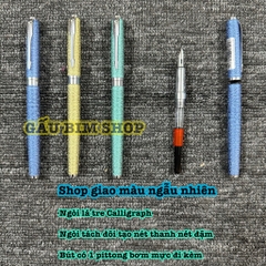 Bút Máy 005 Ouguwen - Hàng chính hãng - Ngòi Lá Tre Tách Đôi Calligraphy tạo Thanh Đậm Luyện Viết Chữ Đẹp