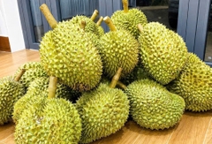 Sầu riêng Việt Nam Loại 1 (giá theo kg)