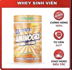 VMI Aminogex EAA / BCAA + Hydration ( 30 servings )