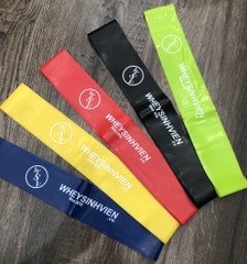 Bộ mini band cao su 5 dây WSV