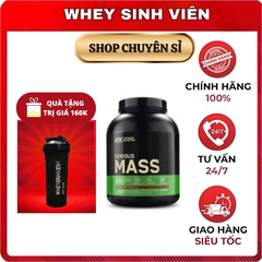 Serious Mass 6lbs ( 2,72kg )