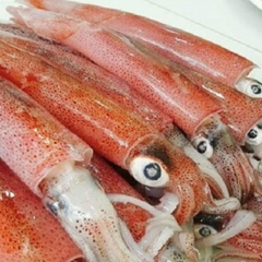 Mực Trứng