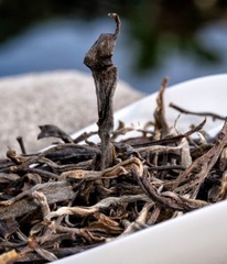 Lão Vương Mộc 120g