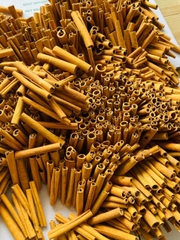 Cassia stick