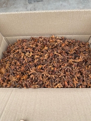 Autumn star anise