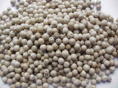White pepper DW