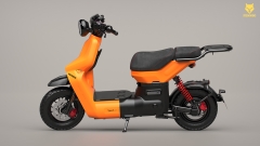 Type 3 Pro Max Cam mờ
