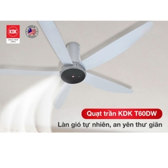 Quạt trần KDK, màu xám T60DW(GY)
