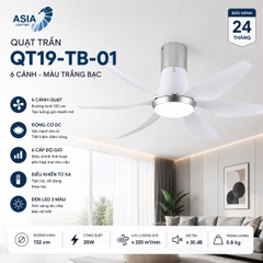 Quạt trần Asia Lighting QT19-TB-01 6 cánh màu trắng bạc