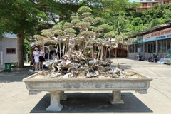 Sanh HH-00133