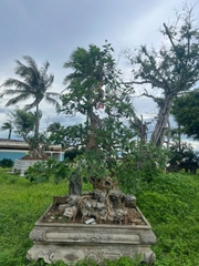 HH-0068