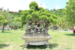Sanh HH-0055