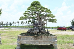 Sanh HH-0048