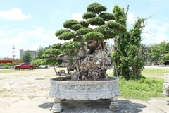 Sanh HH-0057