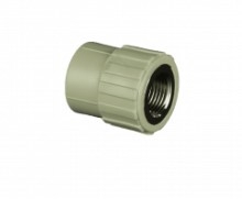 Tiền phong Nối ren trong 25-1/2 PPR