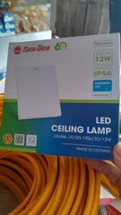Rạng Đông ĐM LN12N 12W ( 170x170 ) - Ốp nổi vuông trắng, ốp trần ( đổi màu )