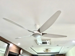 Panasonic - Quạt 5 cánh F60GDN