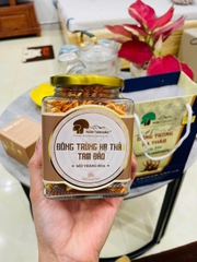 Đông Trùng Hạ Thảo Sấy Thăng Hoa ( 5gram, 10gram, 20gram) - Phú Thọ