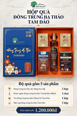 HỘP QUÀ ĐÔNG TRÙNG HẠ THẢO TAM ĐẢO – BỘ 5 SẢN PHẨM