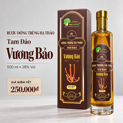 Rượu đông trùng hạ thảo Tam Đảo Vương Bảo
