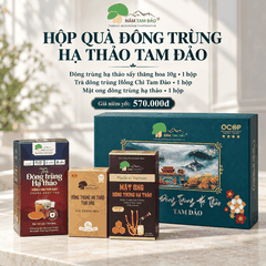 HỘP QUÀ ĐÔNG TRÙNG HẠ THẢO TAM ĐẢO – BỘ 3 SẢN PHẨM