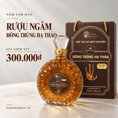 RƯỢU NGÂM ĐÔNG TRÙNG HẠ THẢO TAM ĐẢO – CHAI 500ML